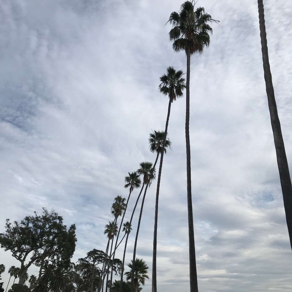 Meet your Posher, SD Looks